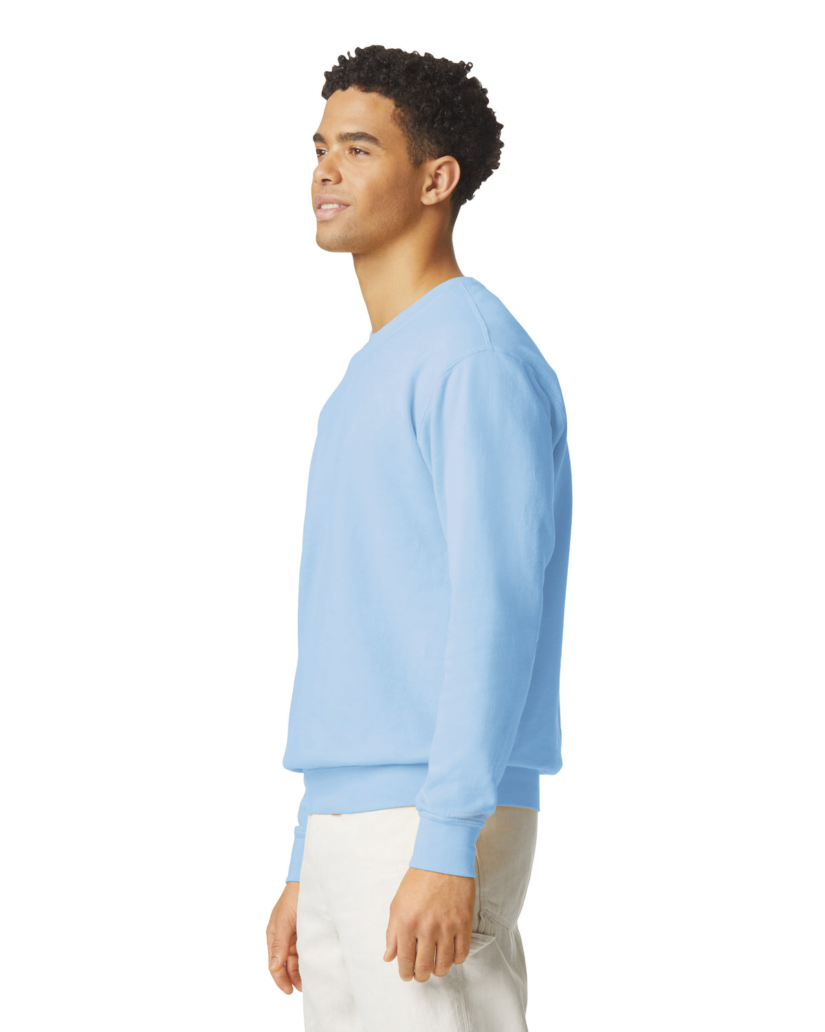 Comfort Colors Adult Lightweight Crewneck Sweatshirt - Hydrangea