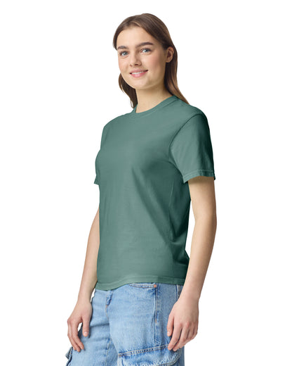 Comfort Colors Adult Heavyweight T-Shirt - Light Green