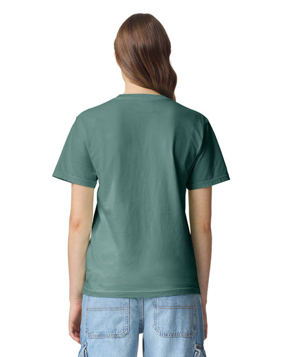Comfort Colors Adult Heavyweight T-Shirt - Light Green